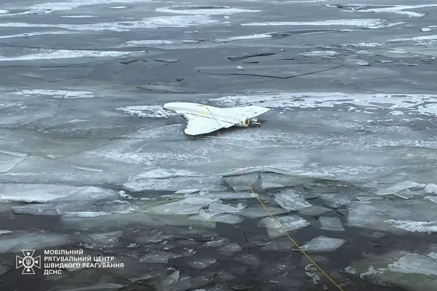 «Гербера»